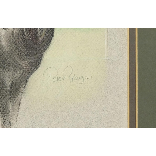 202 - Peter Gray - Study of a buffalo, signed South African pastel, Picasso's Bulawayo label verso, mounte... 