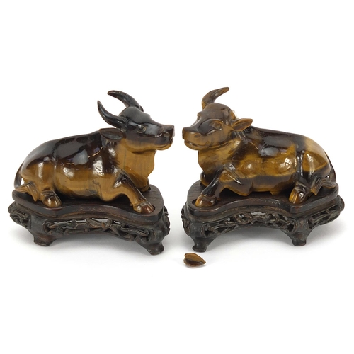 62 - Pair of Chinese carved tiger's eye water buffalos, each raised on a carved wood base, 8.5cm in lengt... 