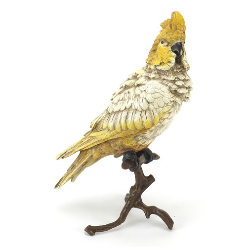 645 - Cold painted bronze sculpture of a cockatiel on a branch in the style of Franz Xaver Bergmann, 30cm ... 