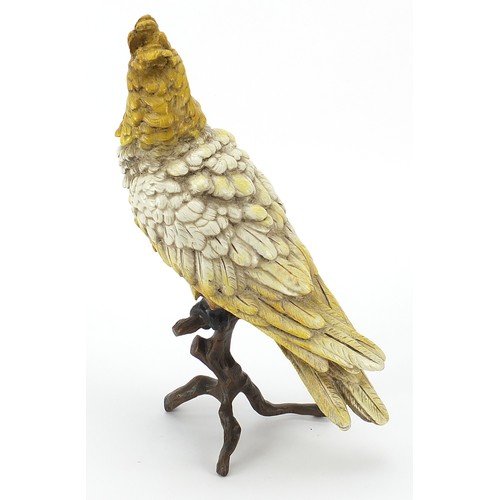 645 - Cold painted bronze sculpture of a cockatiel on a branch in the style of Franz Xaver Bergmann, 30cm ... 