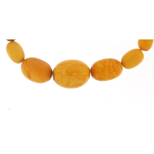 164 - Egg yolk amber coloured bead necklace, the largest bead 20mm in length x 15mm in diameter, 35cm in l... 