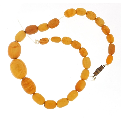 164 - Egg yolk amber coloured bead necklace, the largest bead 20mm in length x 15mm in diameter, 35cm in l... 