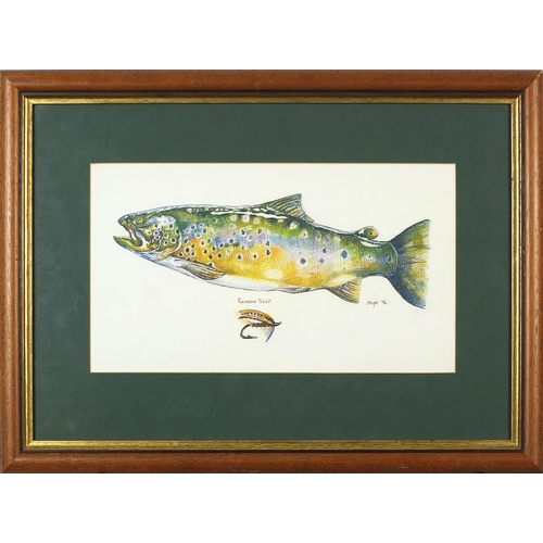 1334 - Rainbow trout, coloured chalks, signed and dated Angie '96, mounted, framed and glazed, 39cm x 21.5c... 