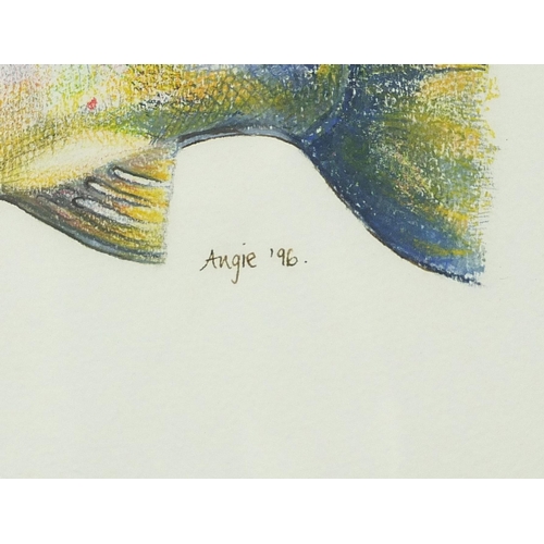 1334 - Rainbow trout, coloured chalks, signed and dated Angie '96, mounted, framed and glazed, 39cm x 21.5c... 