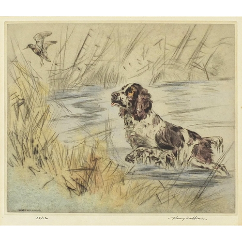 233 - Henry Wilkinson - Pheasants and gun dogs, pair of pencil signed etchings in colour, limited edition ... 