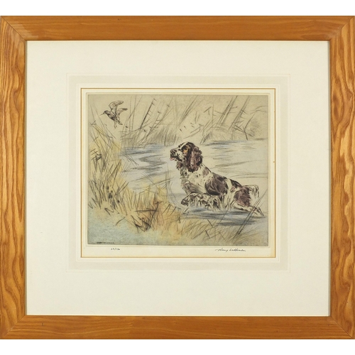 233 - Henry Wilkinson - Pheasants and gun dogs, pair of pencil signed etchings in colour, limited edition ... 