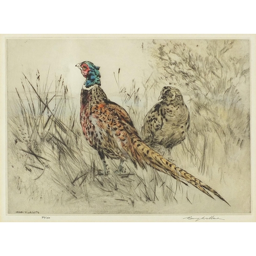 233 - Henry Wilkinson - Pheasants and gun dogs, pair of pencil signed etchings in colour, limited edition ... 