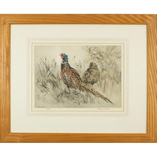 233 - Henry Wilkinson - Pheasants and gun dogs, pair of pencil signed etchings in colour, limited edition ... 