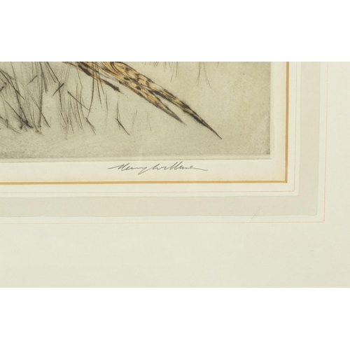 233 - Henry Wilkinson - Pheasants and gun dogs, pair of pencil signed etchings in colour, limited edition ... 