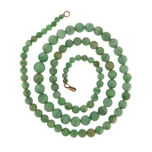 1160 - Chinese graduated green jade bead necklace with gold coloured metal clasp, the largest bead 1cm in d... 