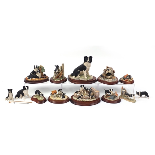 514 - Border Fine Arts model Border Collies, predominantly on stands including A Long Day Ahead and Helpin... 