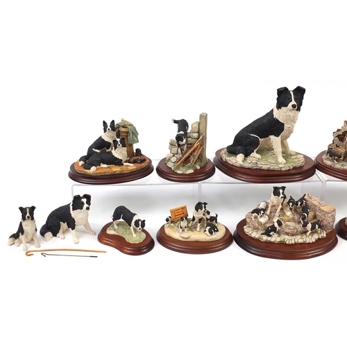 514 - Border Fine Arts model Border Collies, predominantly on stands including A Long Day Ahead and Helpin... 