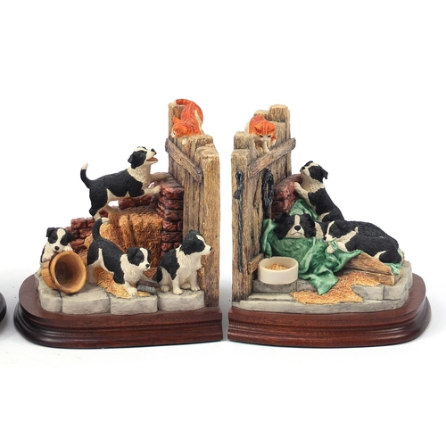 512 - Pair of Border Fine Arts Border Collie bookends  titled Not a Moment's Rest and a table lamp by Ray ... 