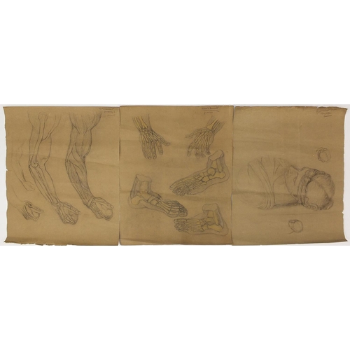 1496 - Figural studies including hands and female, three early 20th century pencil on papers, each signed A... 