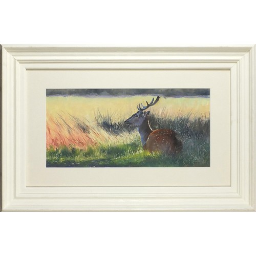 54 - Paul Apps - Deer before a landscape, South African oil/acrylic, mounted, framed and glazed, 37.5cm x... 
