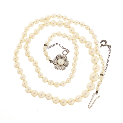 1038 - Single string graduated cultured pearl necklace with 14ct gold flower head clasp, 42cm in length, 14... 