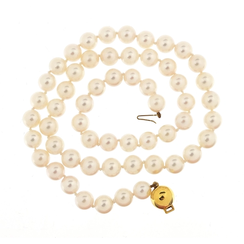 834 - Single string cultured pearl necklace with 9ct gold clasp, 46cm in length, 31.0g