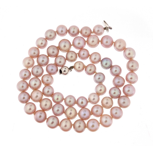 1147 - Single string graduated pink cultured pearl necklace with 14ct white gold clasp, 49cm in length, 38.... 