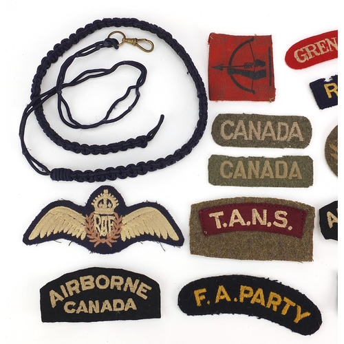 583 - British military interest insignia and a lanyard including Parachute and Airborne Canada