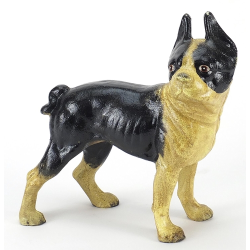1570 - Painted cast iron French Bulldog, 23cm in length