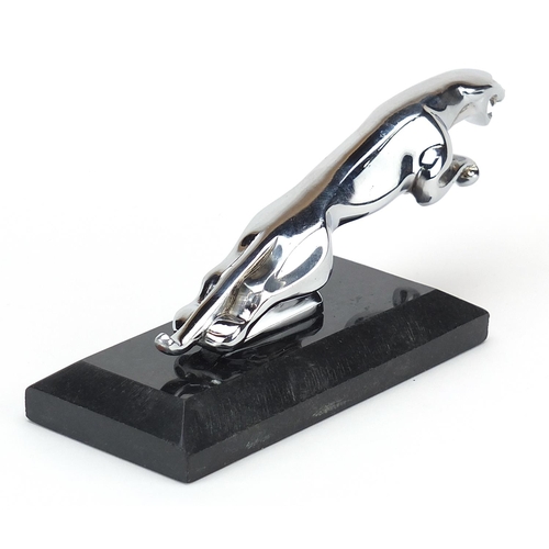 1198 - Chrome Jaguar car mascot raised on a black slate base, 20.5cm in length