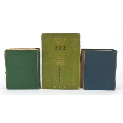 1259 - Three hardback books comprising Wildflowers volumes one and two by Anne Pratt and The Boy's Own Natu... 