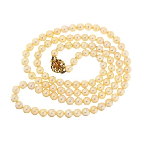 1076 - Single string pearl necklace with 9ct gold citrine clasp housed in a K L Brown & Son Ltd Sheffield b... 