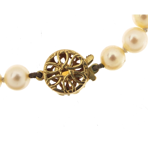 1076 - Single string pearl necklace with 9ct gold citrine clasp housed in a K L Brown & Son Ltd Sheffield b... 