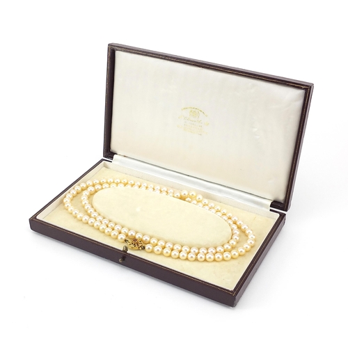 1076 - Single string pearl necklace with 9ct gold citrine clasp housed in a K L Brown & Son Ltd Sheffield b... 