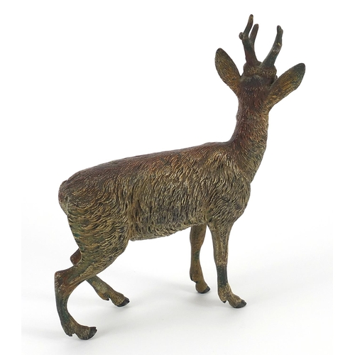21 - German cold painted bronze stag, impressed Geschutz to the underside, 16.5cm high