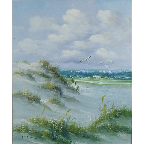 403 - Costal scene with seagulls, oil on canvas, mounted and framed, 60cm x 50cm excluding the mount and f... 