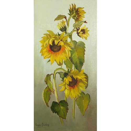1419 - Peggy Barley - Still life sunflowers, oil on board, Brighton label verso, mounted and framed, 60cm x... 