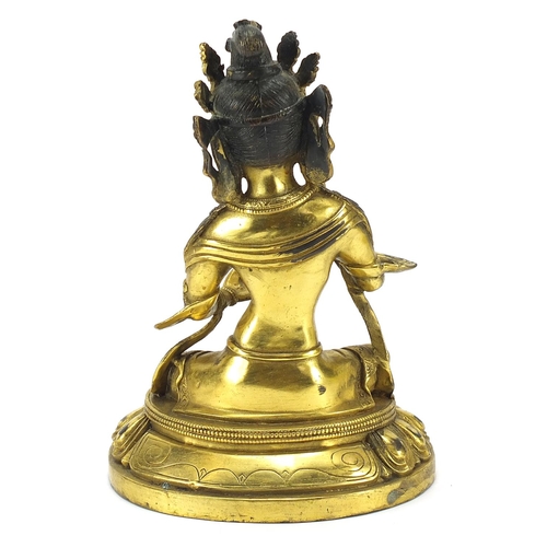 235 - Chino Tibetan gilt bronze figure of seated Buddha, 20cm high