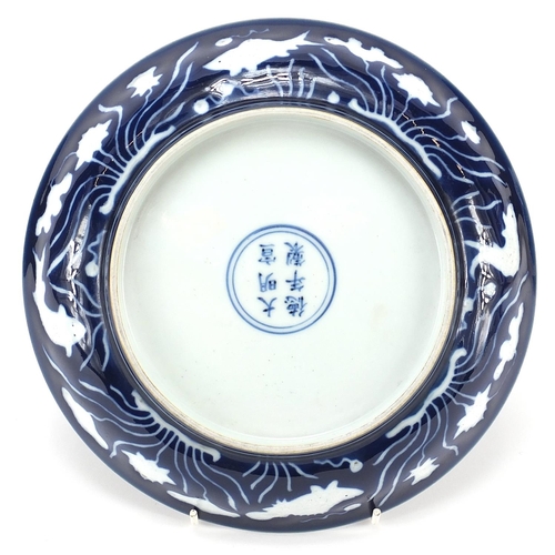 523 - Chinese porcelain dish having a blue glaze, hand painted with fish amongst aquatic life, six figure ... 