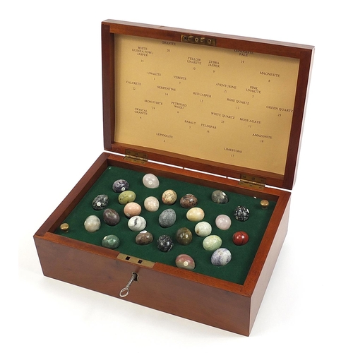 514 - Birdseye maple box containing twenty five specimen stone eggs including serpentine, petrified wood, ... 