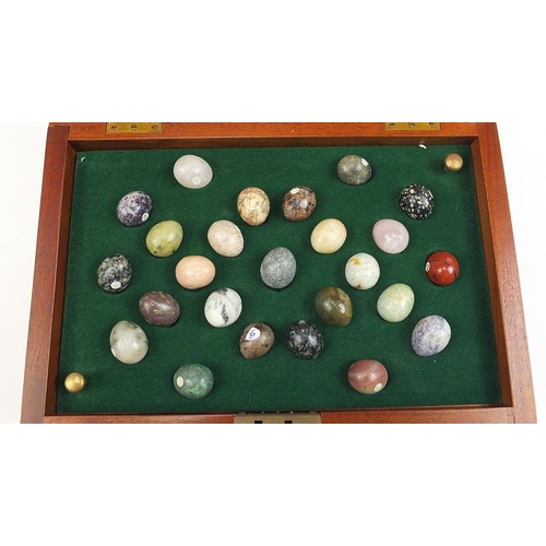 514 - Birdseye maple box containing twenty five specimen stone eggs including serpentine, petrified wood, ... 