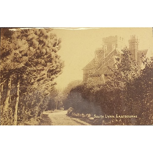 361 - Collection of early 20th century and later Eastbourne postcards arranged in an album including The W... 