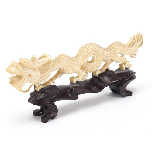 407 - Chinese ivory carving of a dragon raised on hardwood stand, 17.5cm in length