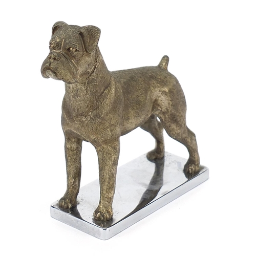 425 - Vintage silvered chrome Boxer dog car mascot, 11cm high