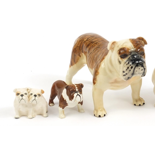 593 - Six Royal Doulton and Beswick collectable china Bulldogs including Bosun and C H Basford British mas... 