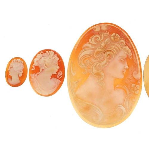 934 - Six cameo panels, the largest 5.5cm high, total weight 21.6g