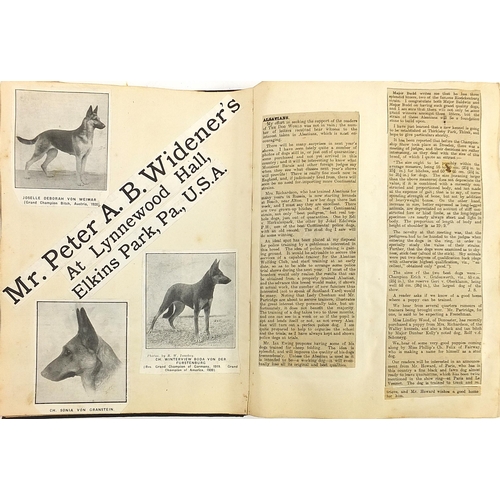 531 - Collection of dog show related ephemera including a large collection of dog show prize labels includ... 