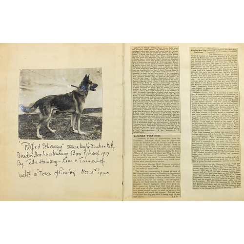 531 - Collection of dog show related ephemera including a large collection of dog show prize labels includ... 