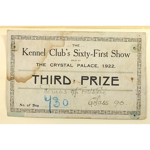 531 - Collection of dog show related ephemera including a large collection of dog show prize labels includ... 