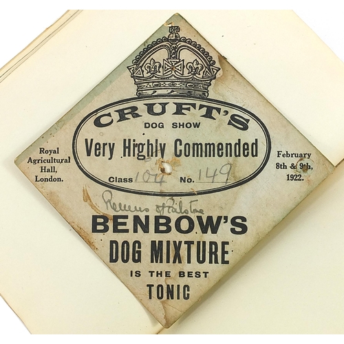 531 - Collection of dog show related ephemera including a large collection of dog show prize labels includ... 