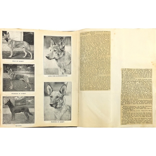 531 - Collection of dog show related ephemera including a large collection of dog show prize labels includ... 