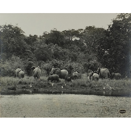 538 - Collection of East African Railway Harbour advertising photographs including tribesmen, some with st... 