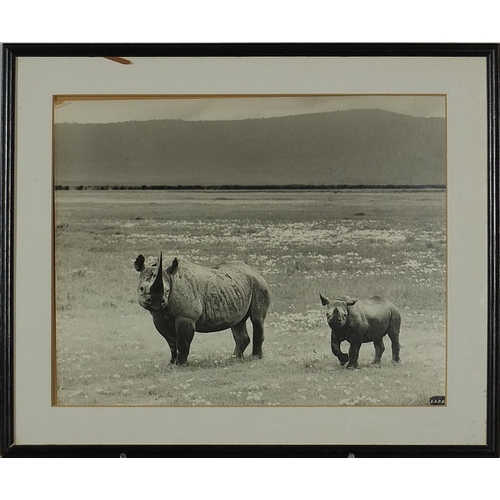 538 - Collection of East African Railway Harbour advertising photographs including tribesmen, some with st... 