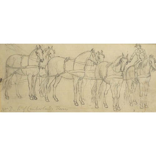 994 - Paul Sandby - The Duke of Cumberland's Horses, 18th century pencil drawing, with label detailing the... 