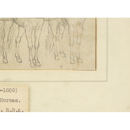 994 - Paul Sandby - The Duke of Cumberland's Horses, 18th century pencil drawing, with label detailing the... 